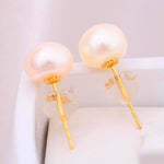 18K Gold AAA Freshwater Pearl Stud Earrings - eDirect Dreams