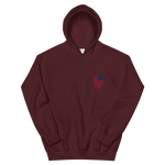 United States of America Unisex Hoodie - eDirect Dreams