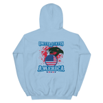 United States of America Unisex Hoodie - eDirect Dreams
