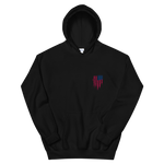 United States of America Unisex Hoodie - eDirect Dreams