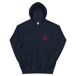 United States of America Unisex Hoodie - eDirect Dreams